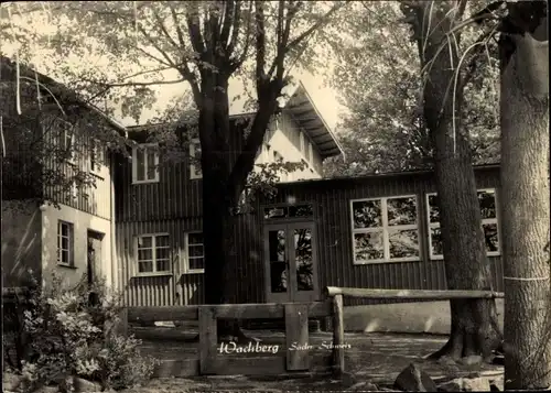 Ak Saupsdorf Sebnitz Sächsische Schweiz, Berggasthaus Wachberg