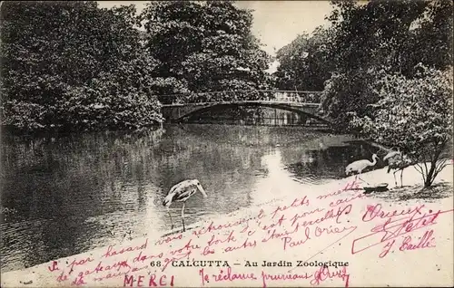 Ak Calcutta Kolkata Kalkutta Indien, Au Jardin Zoologique