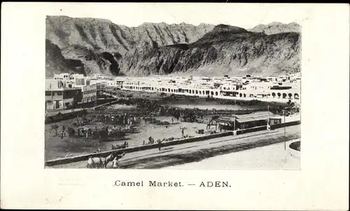 Ak Aden Jemen, Camel Market