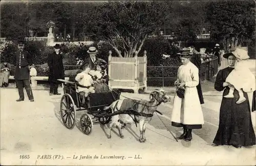 Ak Paris VI Luxembourg, Le Jardin du Luxembourg