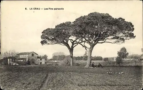 Ak La Crau Var, Les Pins parasols