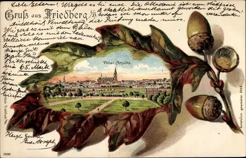 Präge Eichenblatt Litho Friedberg im Wetteraukreis Hessen, Totalansicht der Stadt