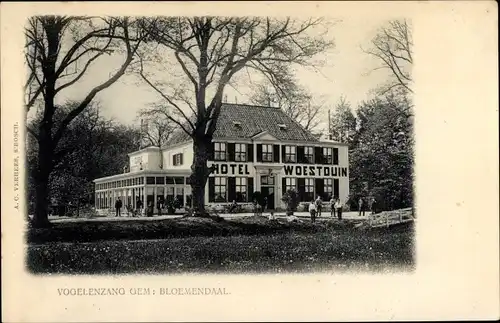 Ak Vogelenzang Bloemendaal Nordholland Niederlande, Hotel Woestduin