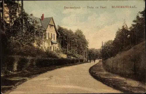 Ak Bloemendaal Nordholland Niederlande, Dennenhoek, Duin en Daal