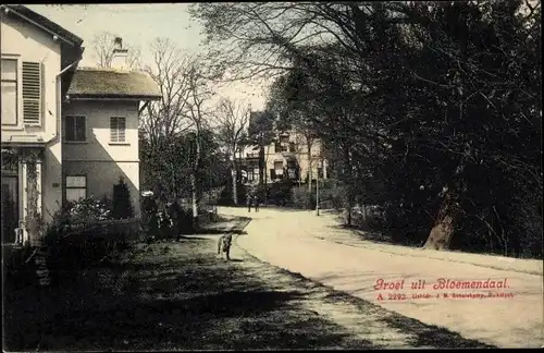 Ak Bloemendaal Nordholland Niederlande, Straßenpartie