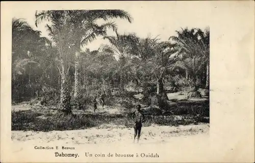 Ak Dahomey Benin, Un coin de brousse a Ouidah, Palmen, Menschen