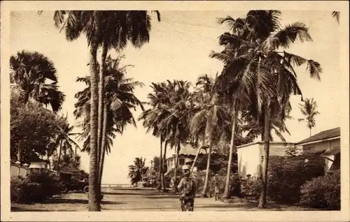 Ak Cotonou Dahomey Benin, Une Avenue bordee de cocotiers