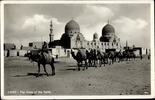 Ak Kairo Ägypten, Grab des Kalifen, Kamele