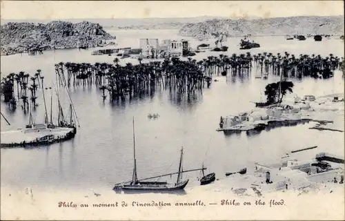 Ak Ägypten, Überflutung, Totale, Palmen, Boote, Ort