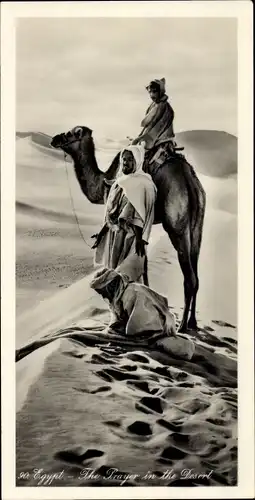 Ak Ägypten, The Prayer in the Desert