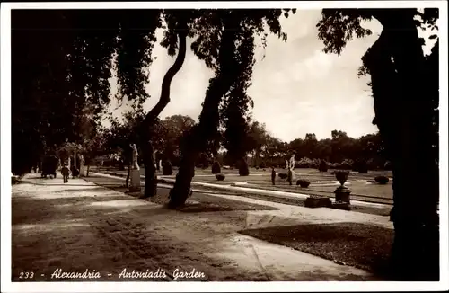 Ak Alexandria Ägypten, Antoniadis Garden