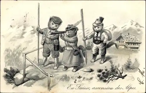 Litho Vermenschlichte Katzen als Wanderer in den Schweizer Alpen