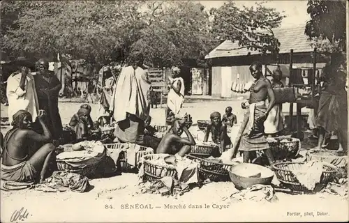 Ak Senegal, Marche dans le Cayor