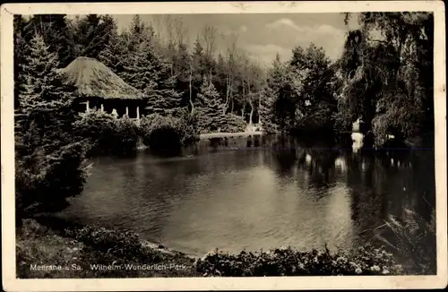 Ak Meerane in Sachsen, Wilhelm Wunderlich Park, Pavillon, Teich