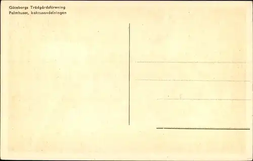 Ak Göteborg Schweden, Trägardsförening, Palmhuset, kaktusavdelningen