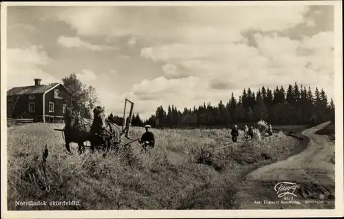 Ak Schweden, Norrländsk skördebild, Bauer bestellt das Feld