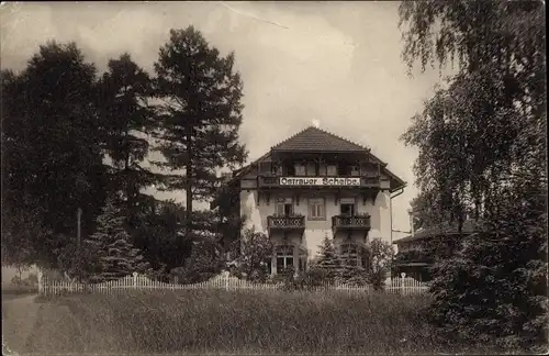 Ak Bad Schandau, Ostrauer Scheibe, Hotel und Pension