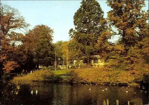 Ak Hansestadt Rostock, Aus dem Zoologischen Garten, Ententeich am Zooeingang