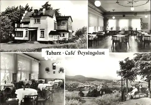 Ak Tabarz im Thüringer Wald, Café Deysingslust, Innenansichten, Fernblick zum Ort
