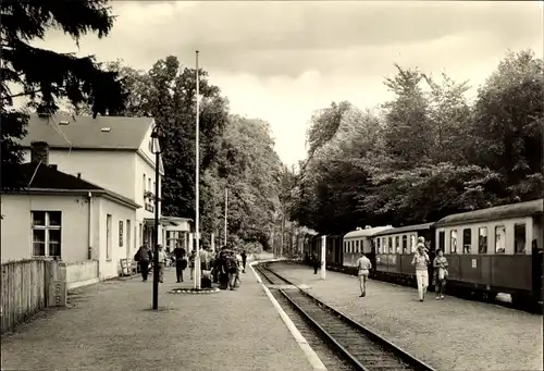 Ak Heiligendamm Bad Doberan, Bahnhof mit Bäderbahn Molli, Gleisseite