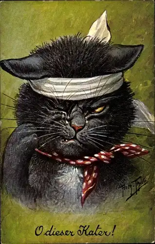 Künstler Ak Thiele, Arthur, O dieser Kater, vermenschlichte Katze