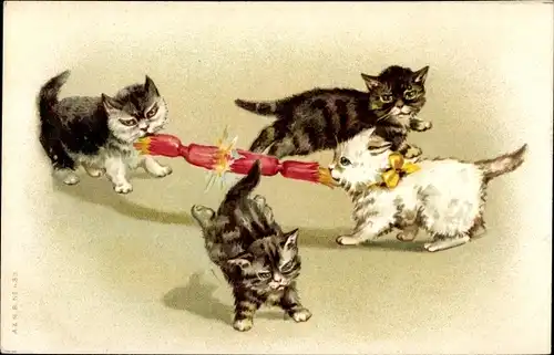 Litho Katzen spielen mit einem Knallbonbon
