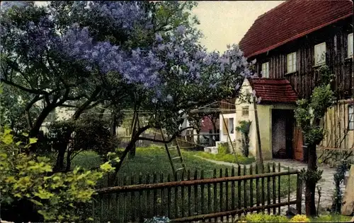 Ak Dorfpartie, Blühender Baum, Wohnhäuser, Garten, Leiter