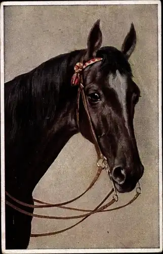 Ak Rassepferd, Portrait von einem Pferd mit Zaumzeug