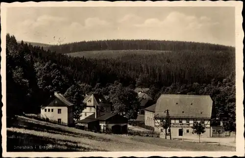 Ak Dittersbach Neuhausen im Erzgebirge, Teilansicht