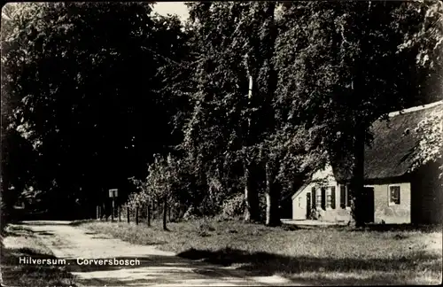 Ak Hilversum Nordholland Niederlande, Corversbosch