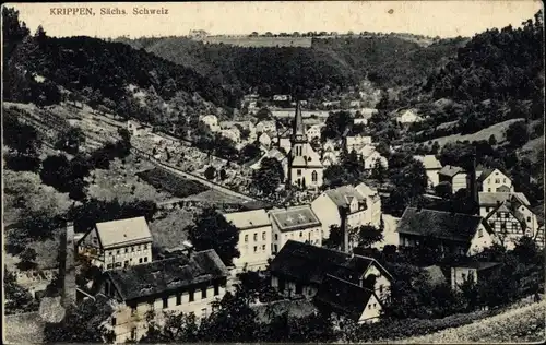 Ak Krippen Bad Schandau Sächsische Schweiz, Panorama