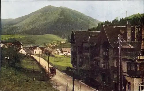 Ak Steinhaus am Semmering Steiermark, Teilansicht