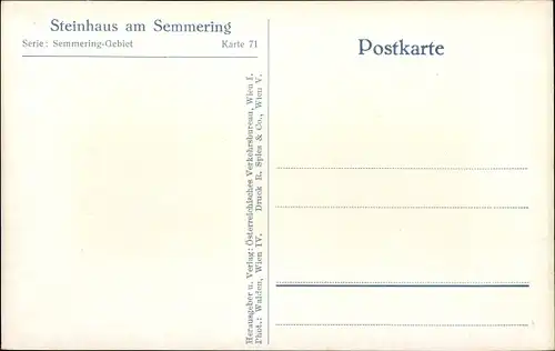 Ak Steinhaus am Semmering Steiermark, Teilansicht