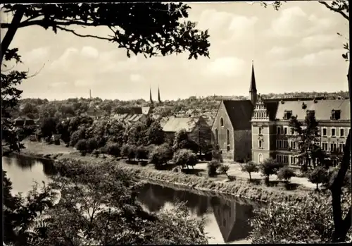 Ak Grimma in Sachsen, Blick vom Stadtwald