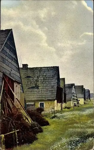 Ak Zinnwald Georgenfeld Altenberg im Erzgebirge, Bauernhäuser, Nenke und Ostermaier Serie III