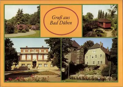 Ak Bad Düben an der Mulde Sachsen, Kurpark, Schiffmühle, Eisenmoorbad, Burg und Freilichtbühne
