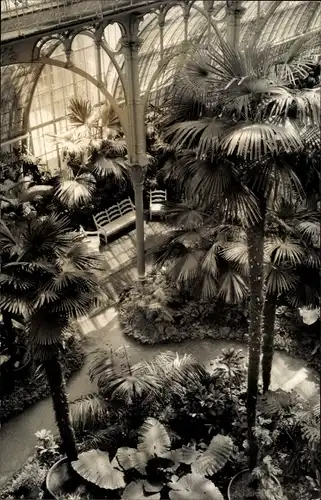 Ak Wien 13 Hietzing Österreich, Schönbrunn, Palmenhaus