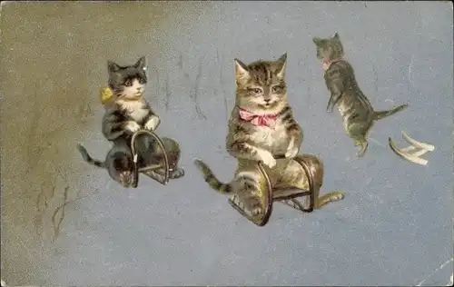 Ak Vermenschlichte Katzen auf Schlitten