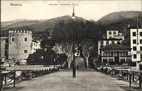 Ak Insel Madeira Portugal, Avenida Consalves Zarco