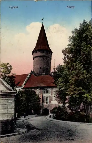 Ak Opole Oppeln Schlesien, Schloss