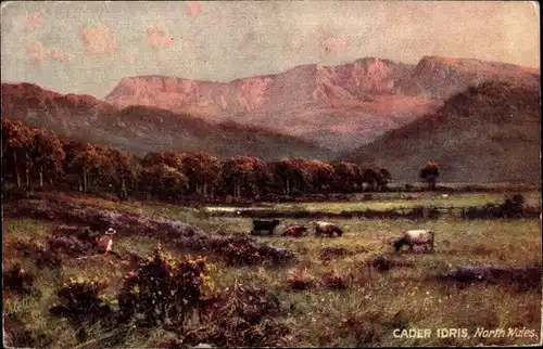 Künstler Ak Cader Idris Wales, Landschaft