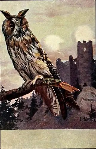 Künstler Ak Eule auf einem Ast, Burgruine