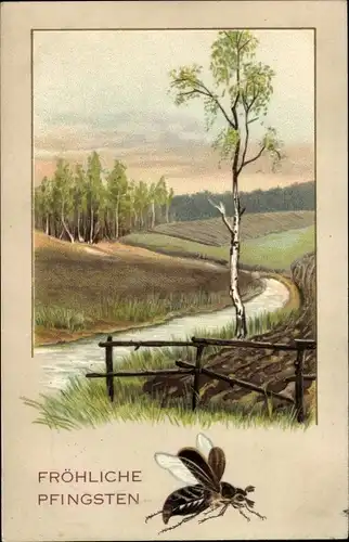 Ak Glückwunsch Pfingsten, Landschaft, Birke, Maikäfer