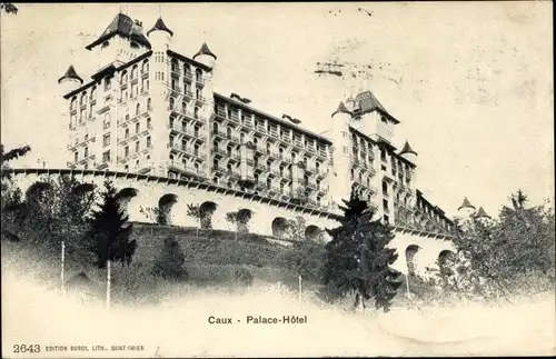 Ak Caux Kanton Waadt, Blick auf das Palace Hotel mit Mauer