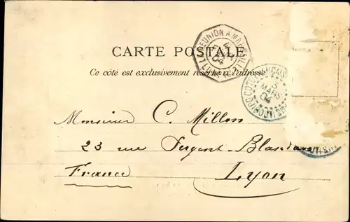 Ak Dschibuti, Le Marchéau bois, Kamele