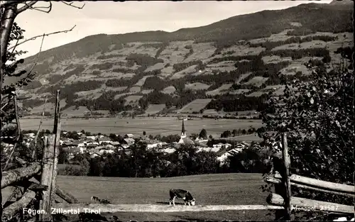 Ak Fügen im Zillertal Tirol, Gesamtansicht, Kuh