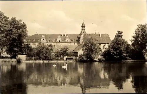 Ak Bad Schmiedeberg in der Dübener Heide, Schwanenteich