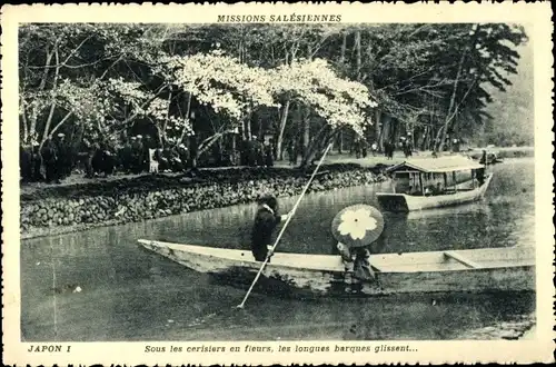 Ak Japan, Sous les cerisiers en fleurs, les longues barques glissent