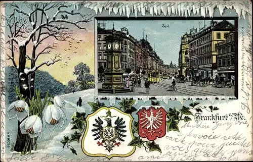 Wappen Litho Frankfurt am Main, Zeil, Straßenpartie, Blumen, Efeu
