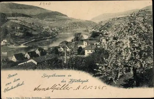 Ak Ziegelhausen Heidelberg am Neckar, Teilansicht in de Blütezeit